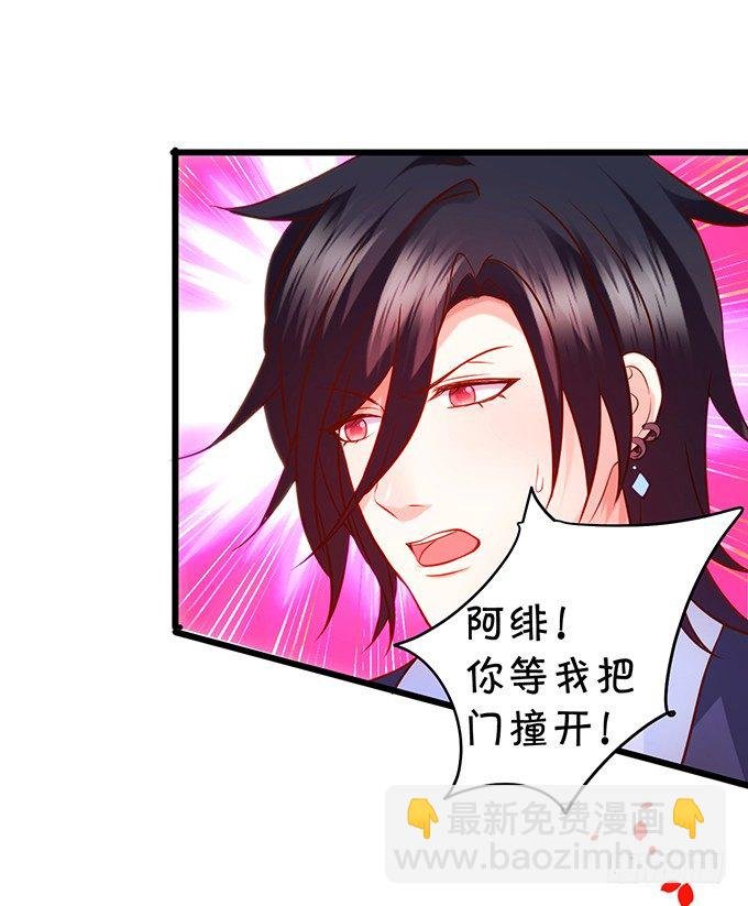 小猫咪，我们又见面了~
