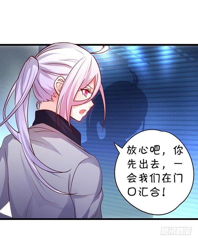 小猫咪，我们又见面了~