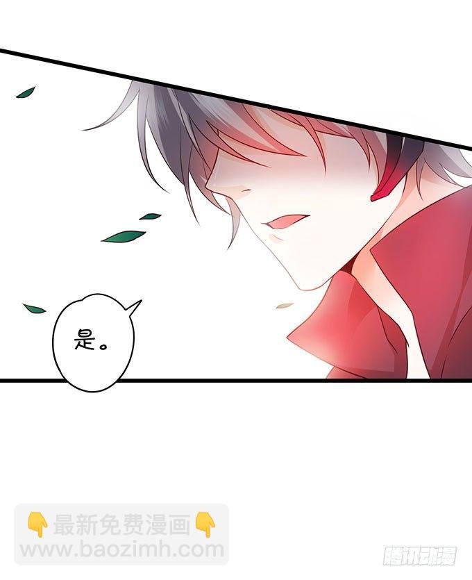 白绯中弹！命悬一线！