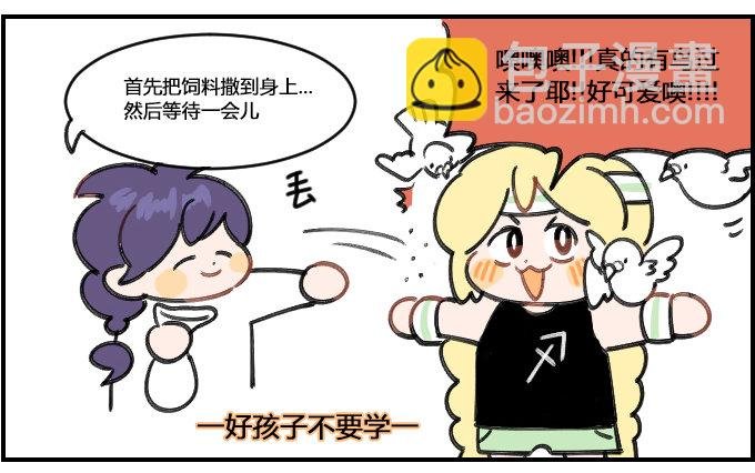 喂鸽子
