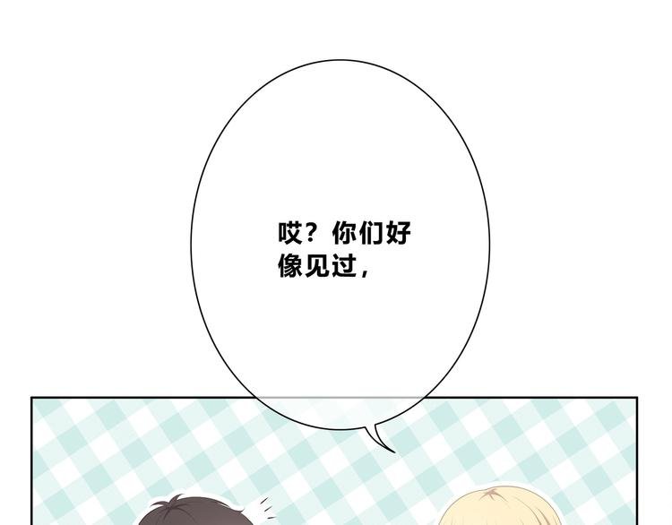 第185话 决定