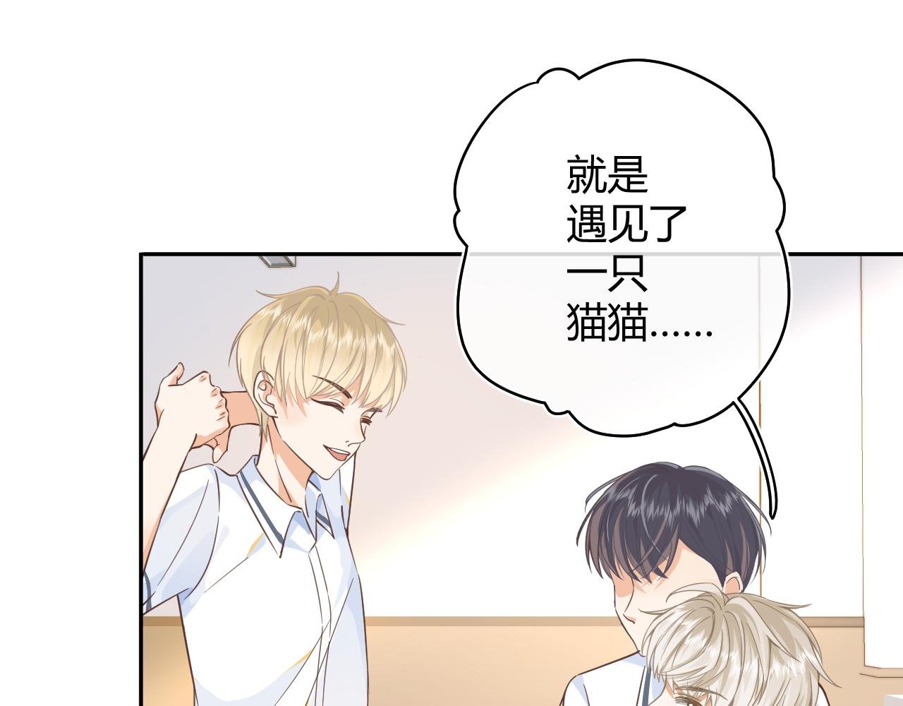 02话 被误会的猫