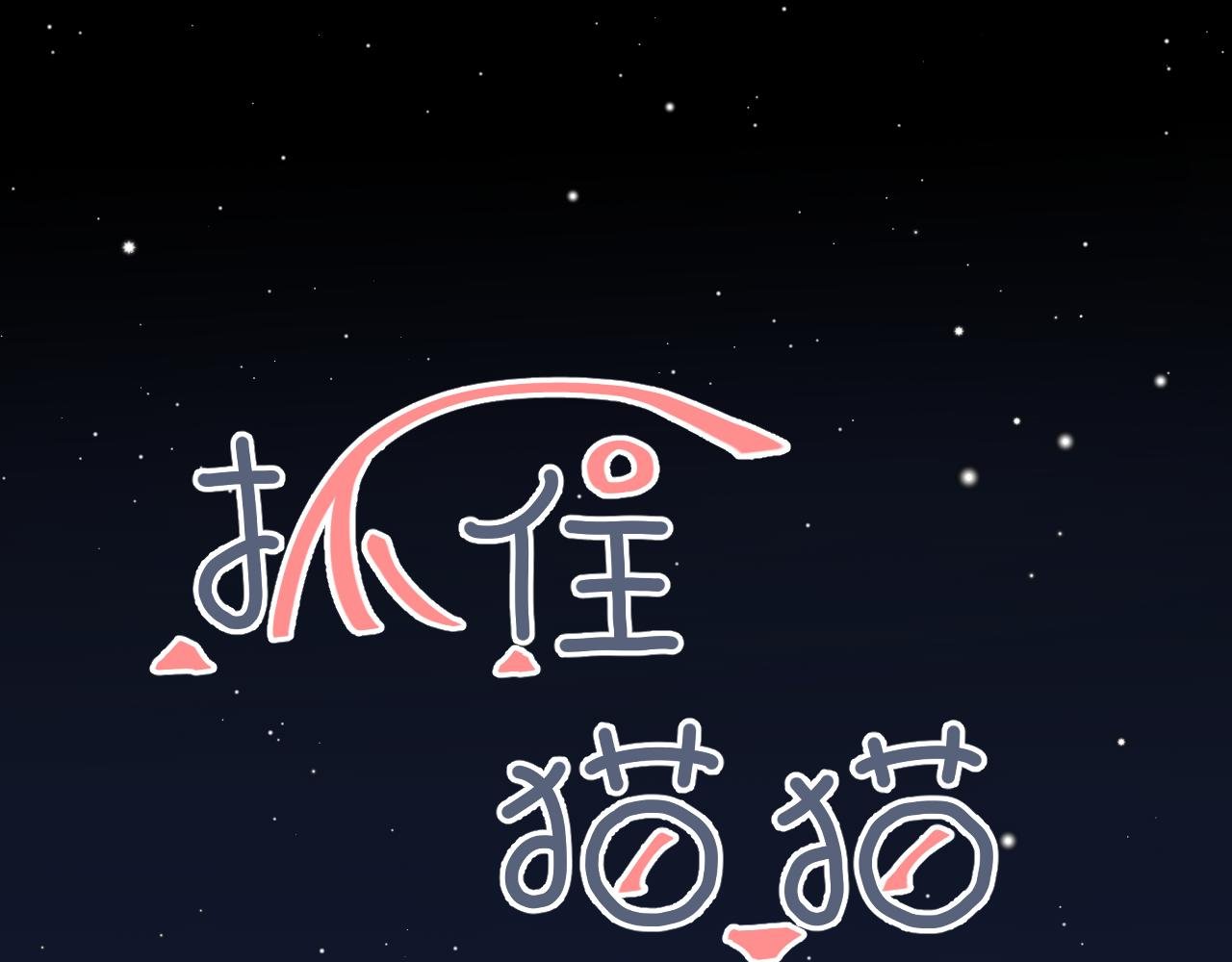 01话 被发现的猫