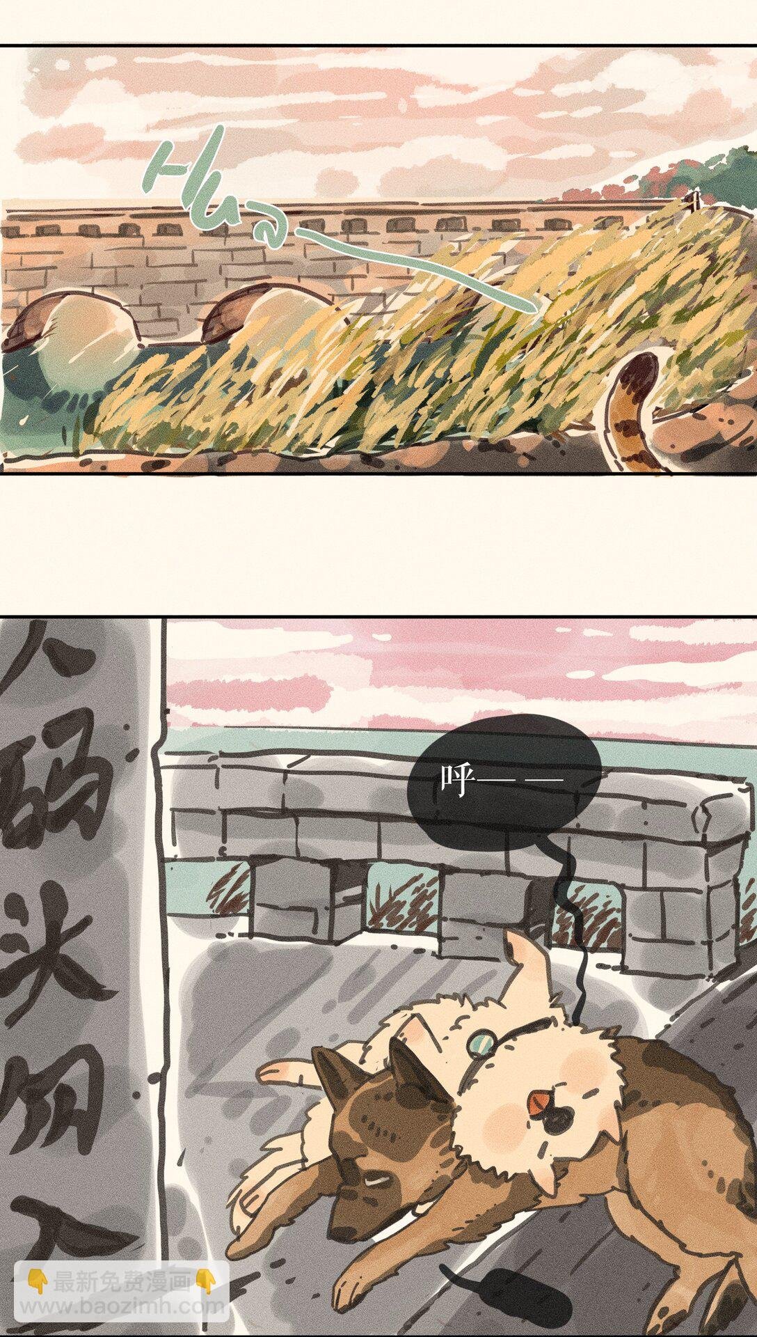 猫猫过桥 全篇