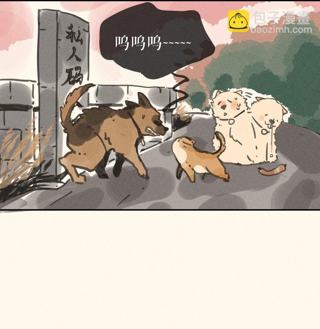 猫猫过桥 全篇