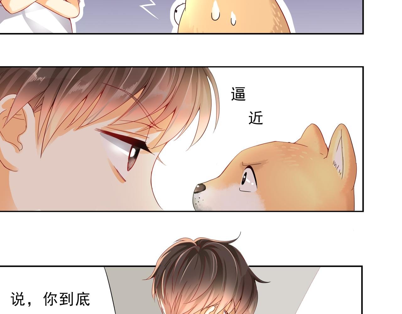 不可告人的秘密