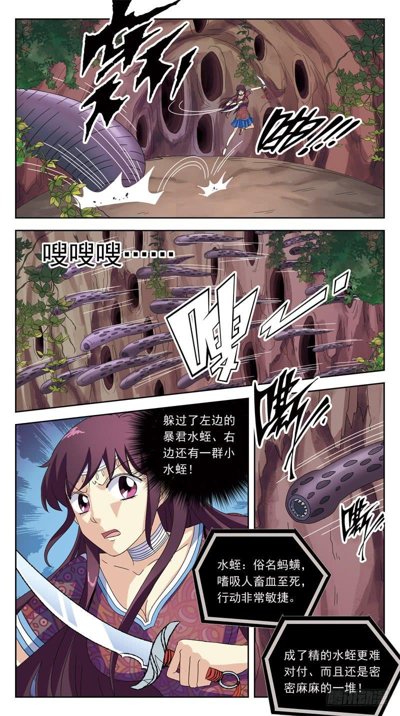 195话-郑明玉orNO