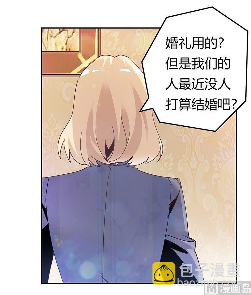 第243话 严格保密的婚礼