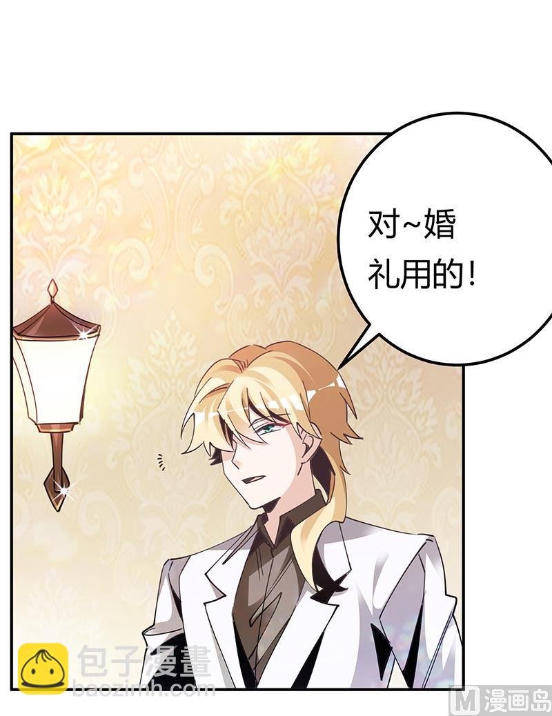 第243话 严格保密的婚礼