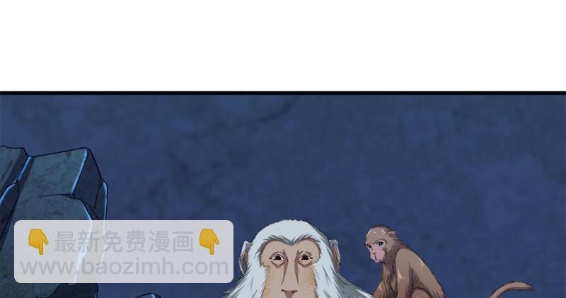第五十六话 剥及而复参九阳