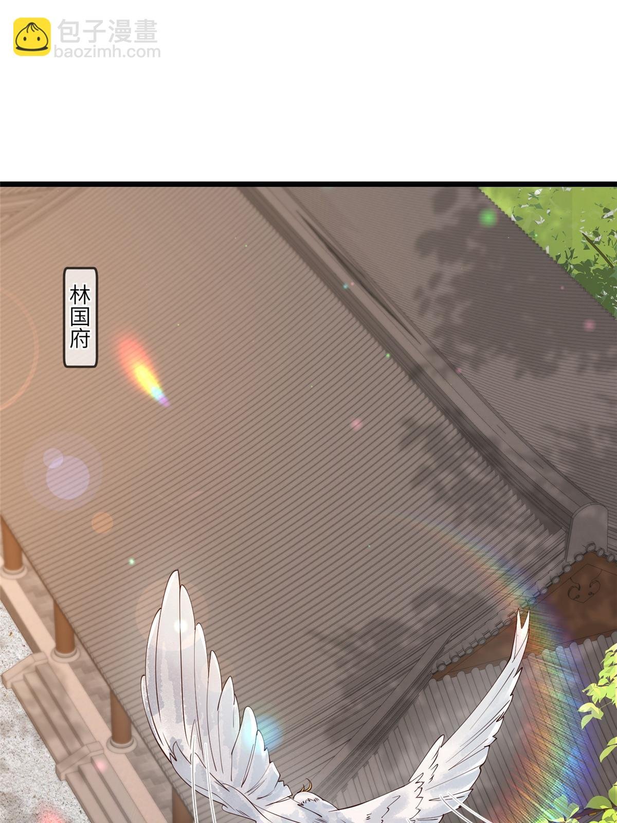 175 华离收网