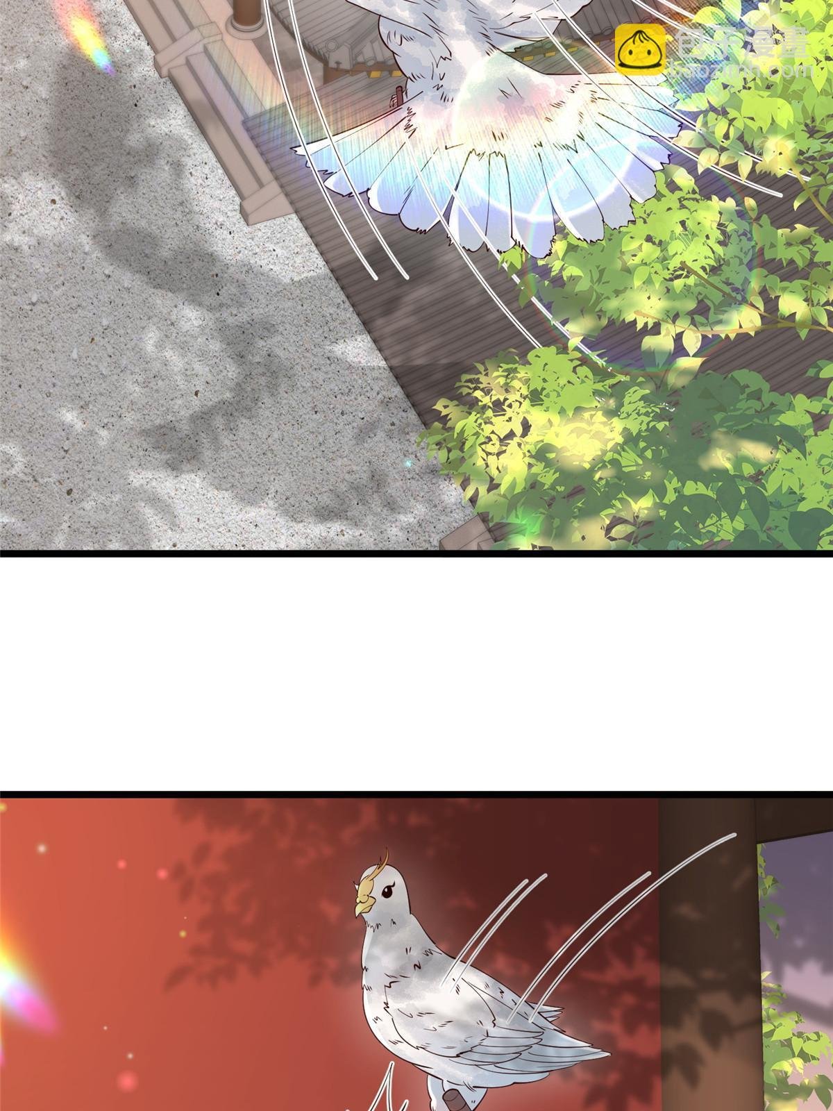 175 华离收网