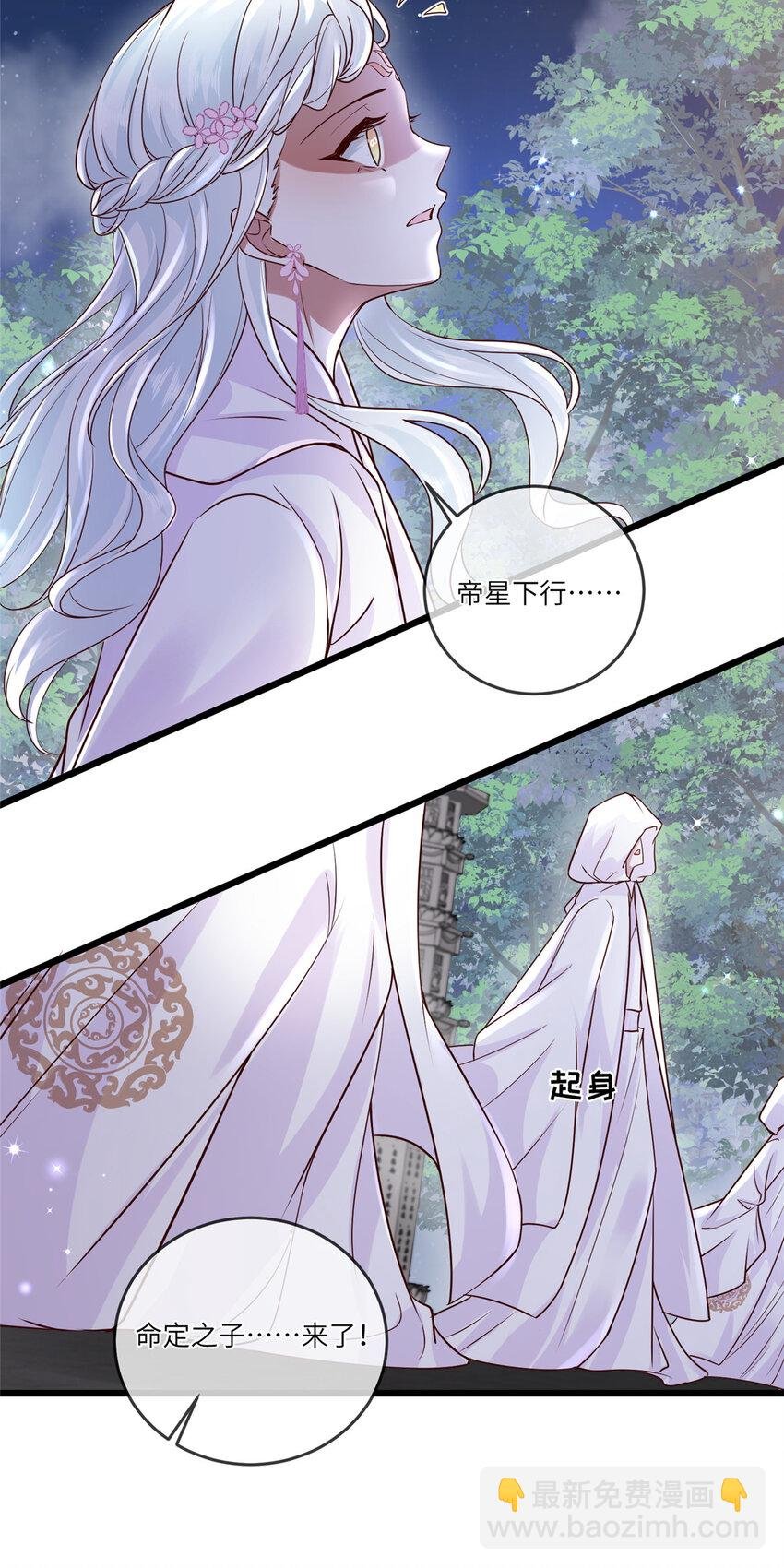 195 天乩一族