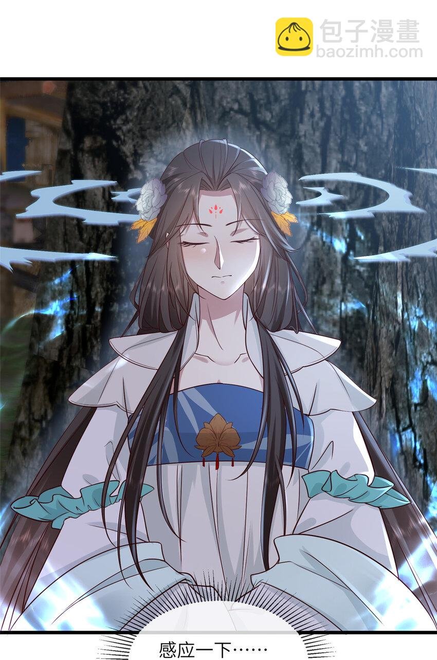 203 青城换主