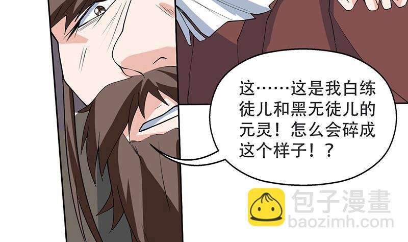 第216话 破碎的元灵