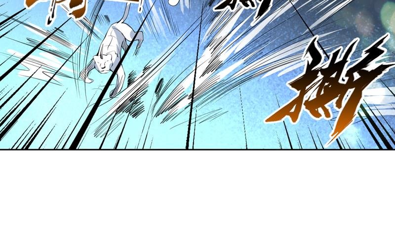 第93话 不见得有多强