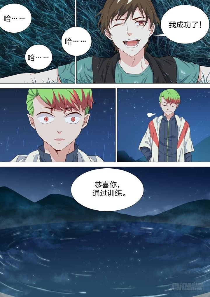141.小树林中的秘密