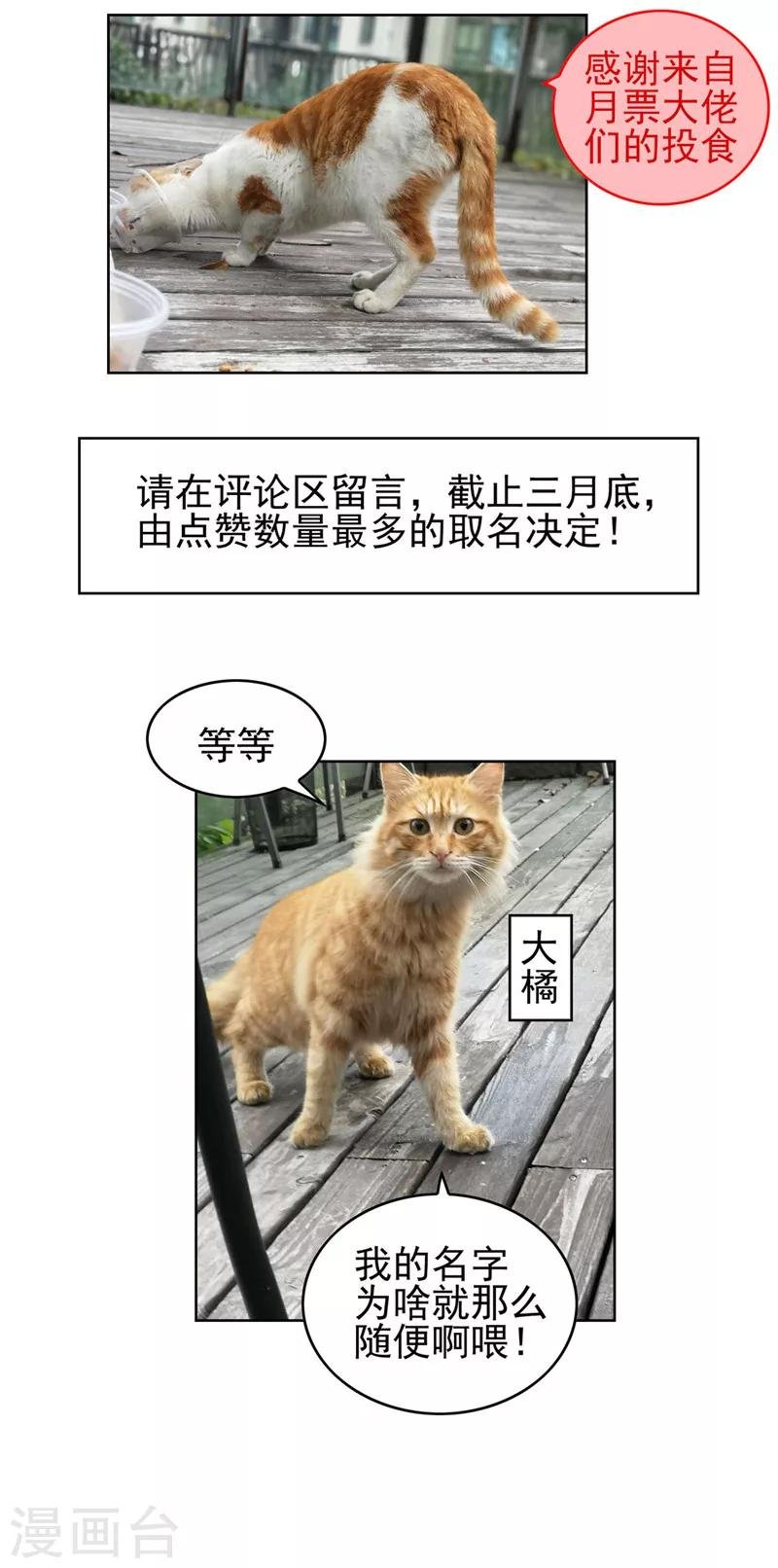 第41话 鱼儿上钩！