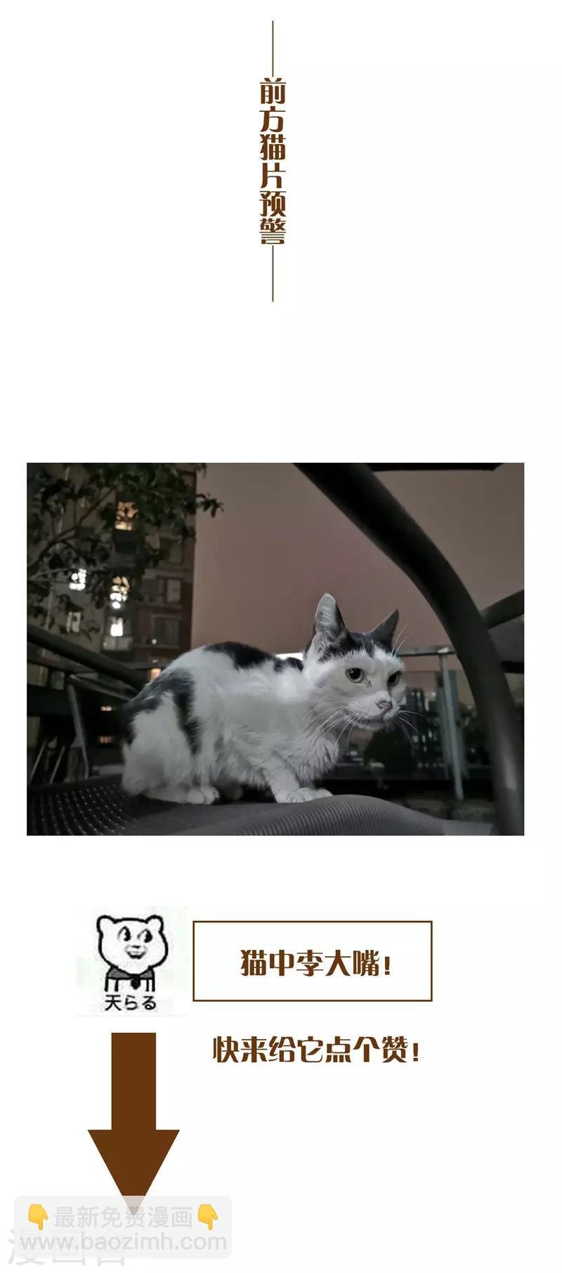 第46话 大猪蹄子
