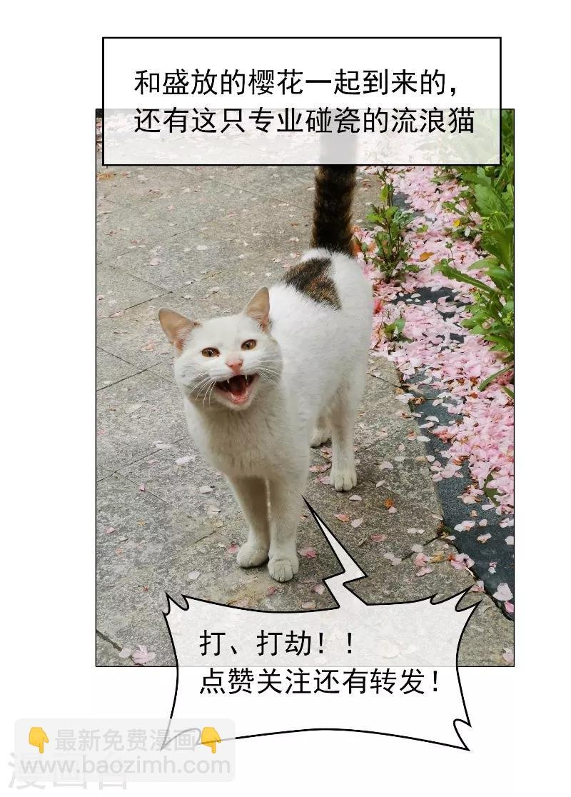 第52话 史密斯家族