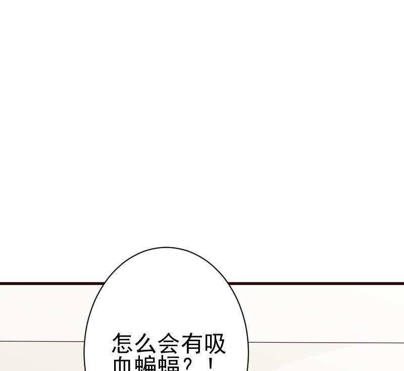 第101话 她受伤了