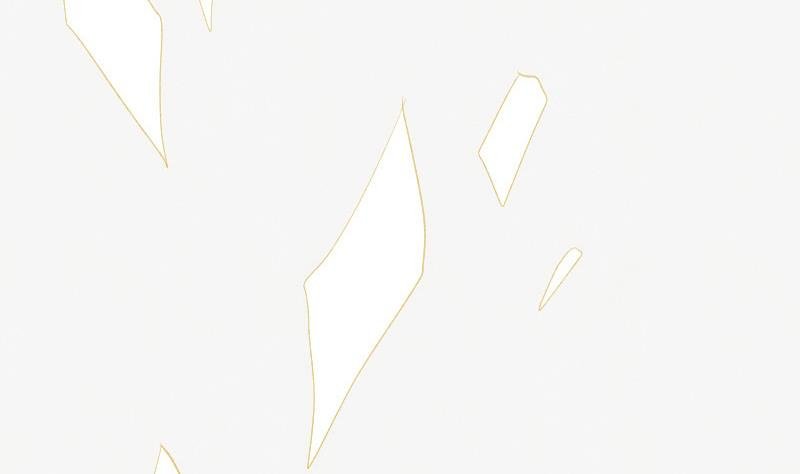 第206话 卡珊卓拉的记忆碎片