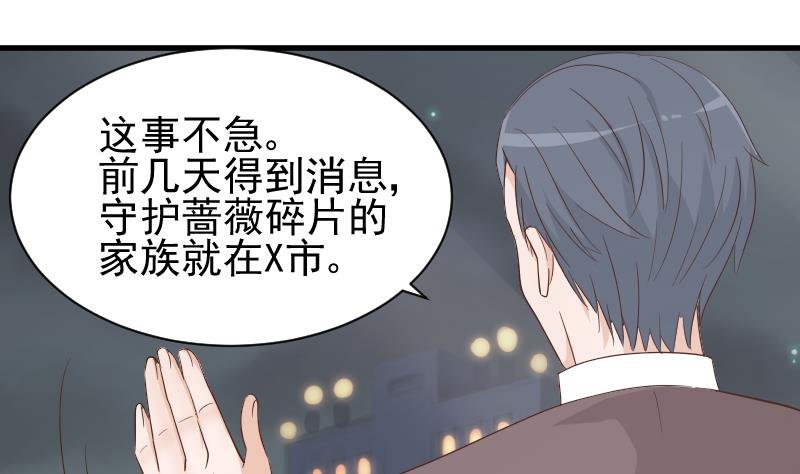 第73话 蔷薇碎片