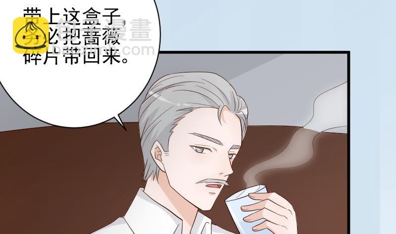 第83话 把蔷薇碎片带回来