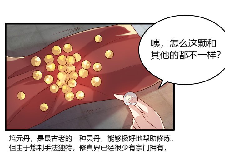 24话 高级交易会