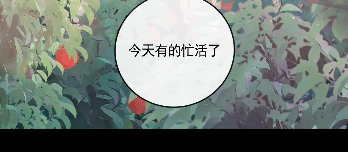 狐入狼口3
