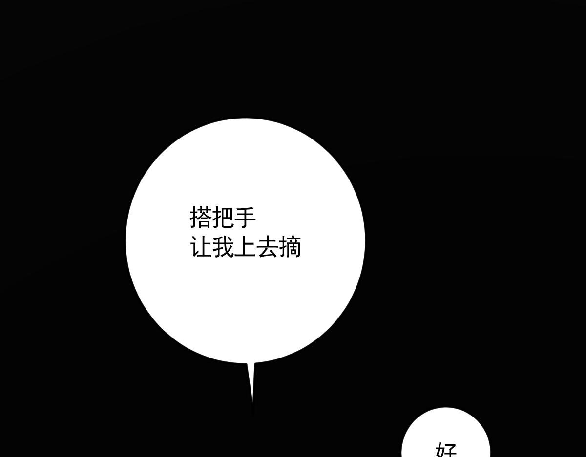 狐入狼口3