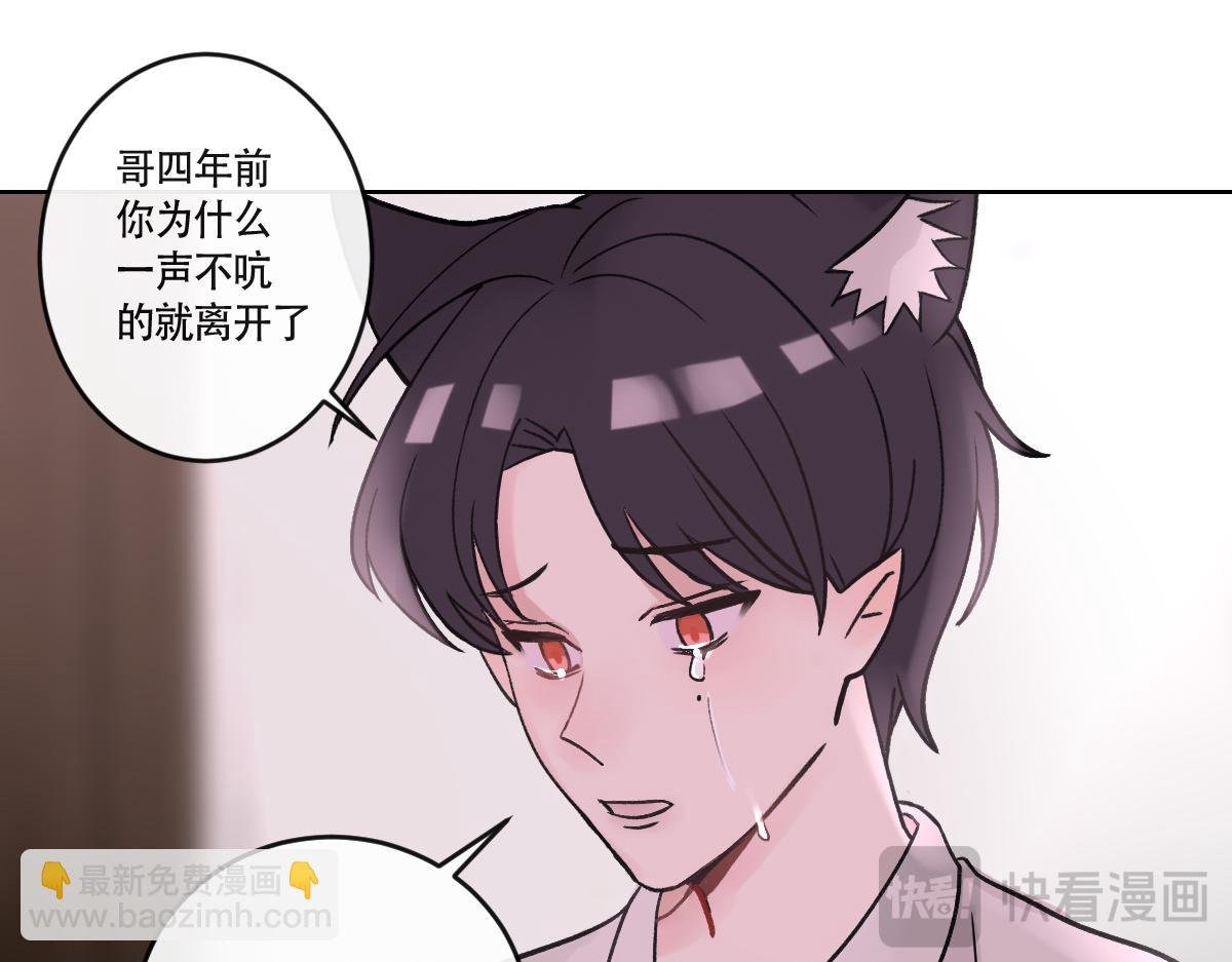狐入狼口2