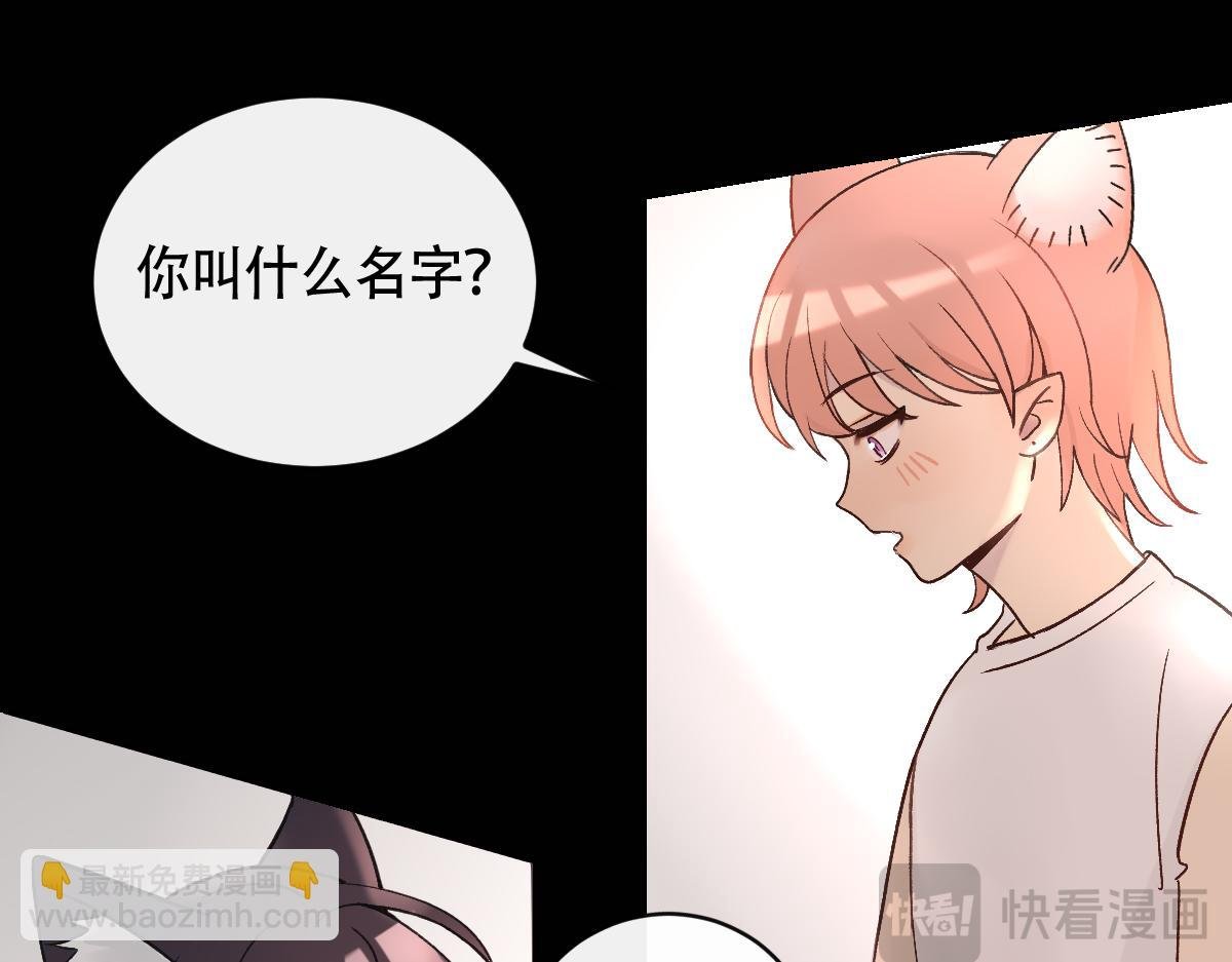 狐入狼口2