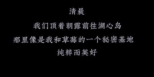 游湖心岛