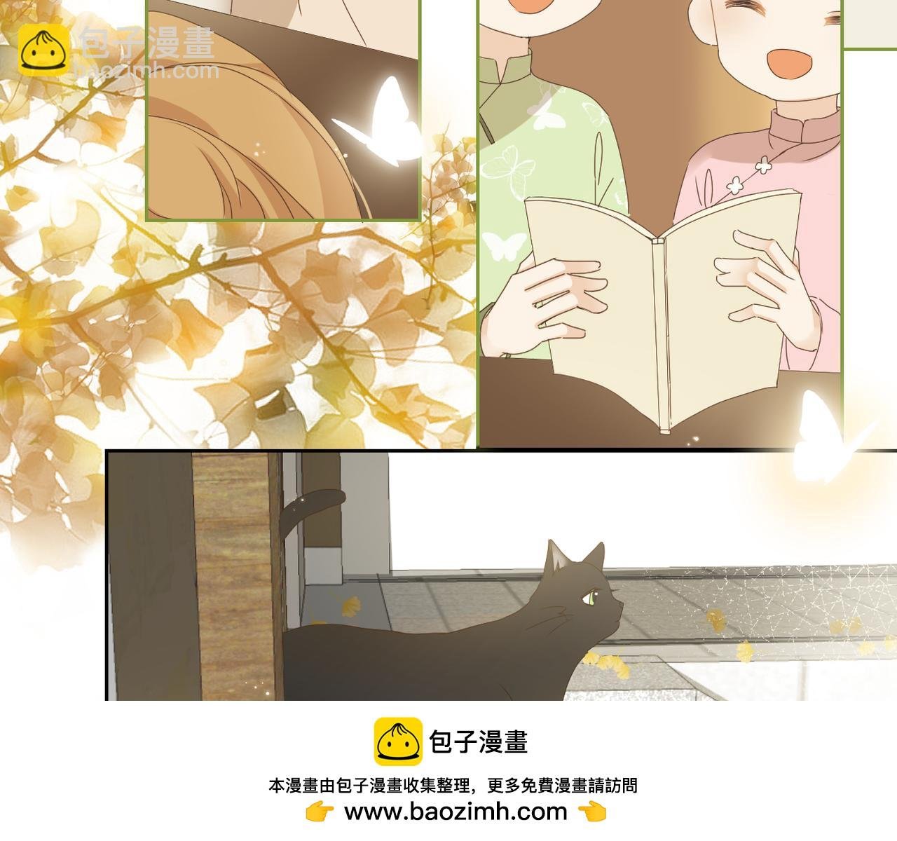 ˇ