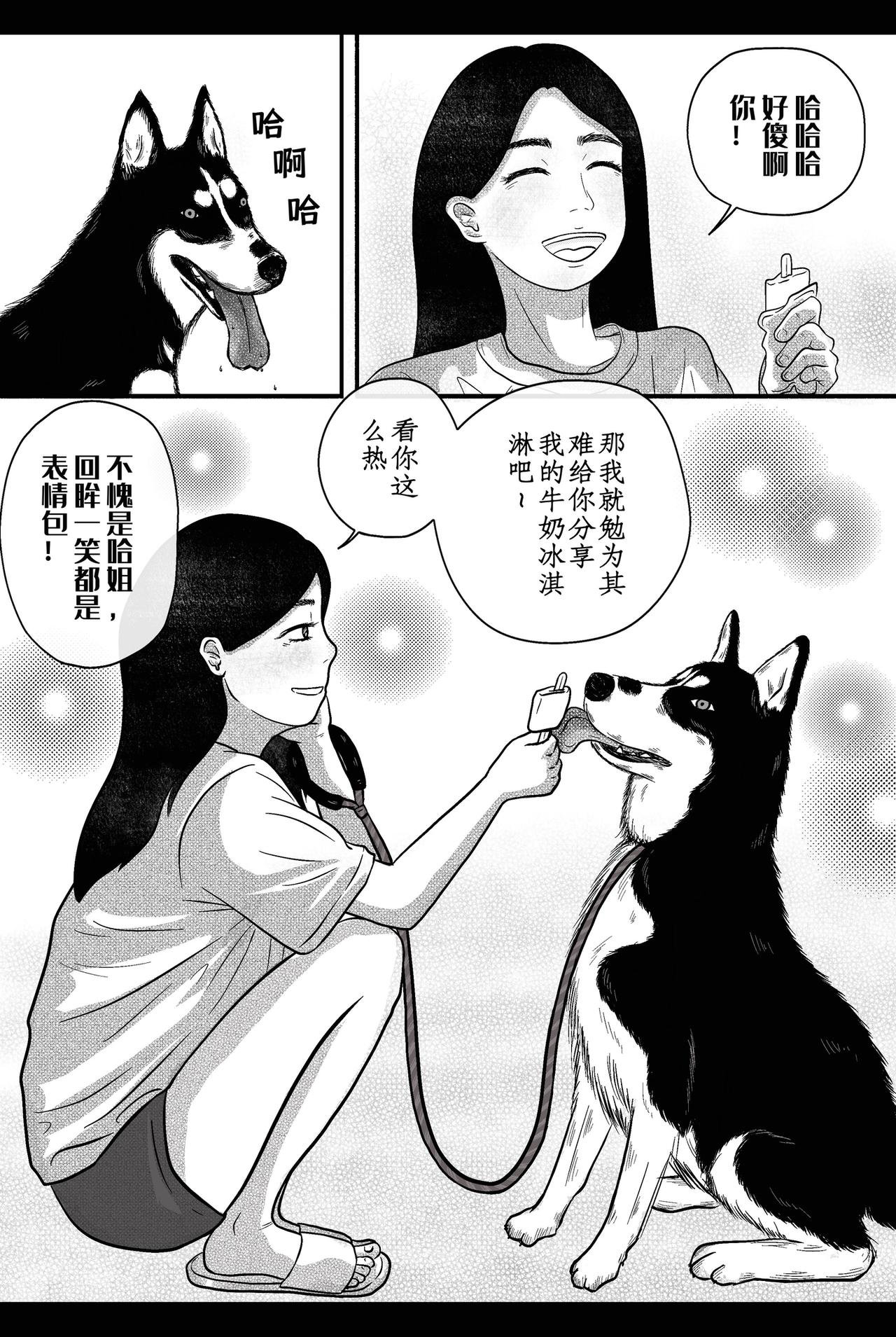 再次相遇
