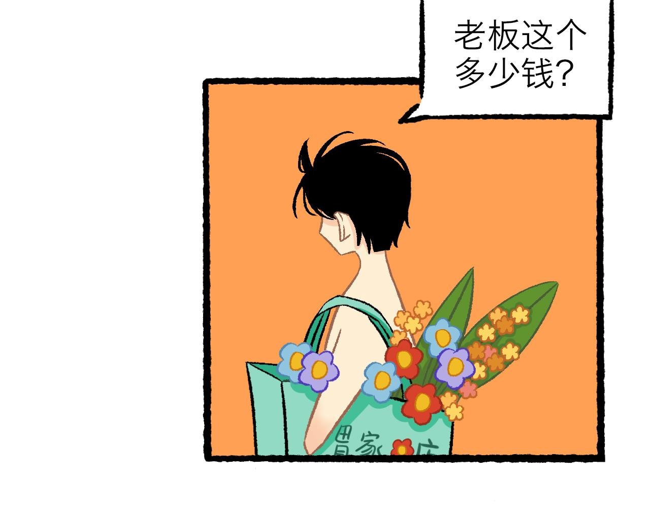 花鸟市场