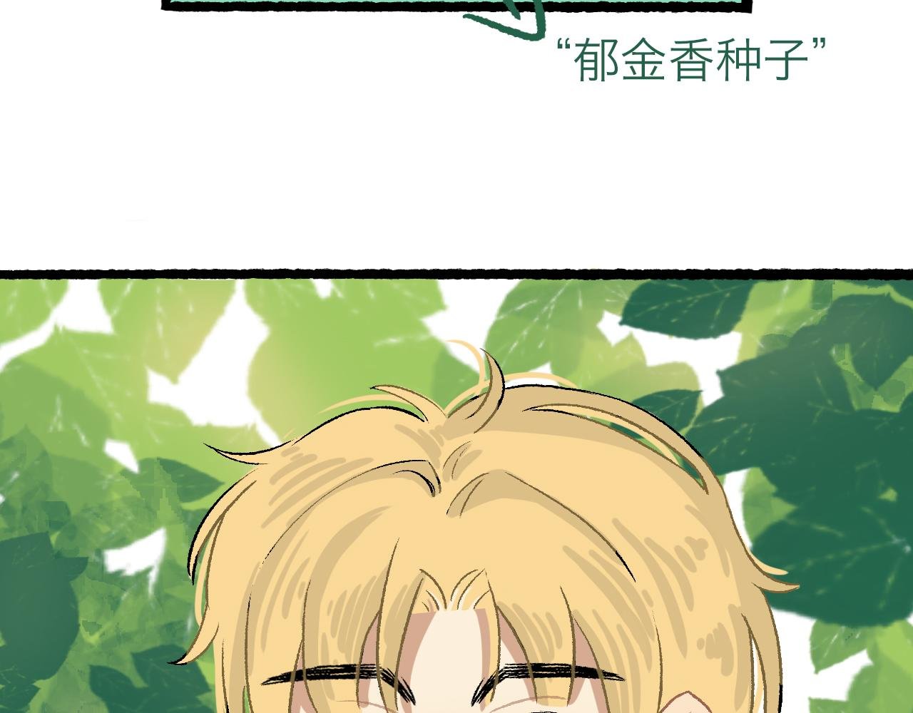 花鸟市场