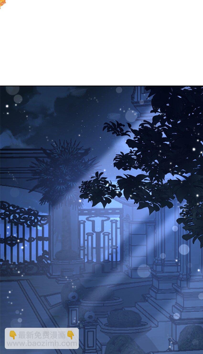 46 夜君擎的生日