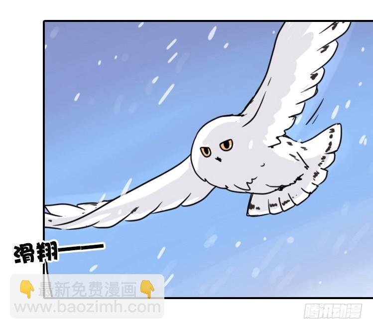 飞吧小少爷：梦想照进现实