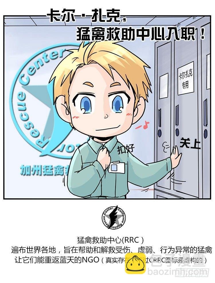 飞吧小少爷：梦想照进现实