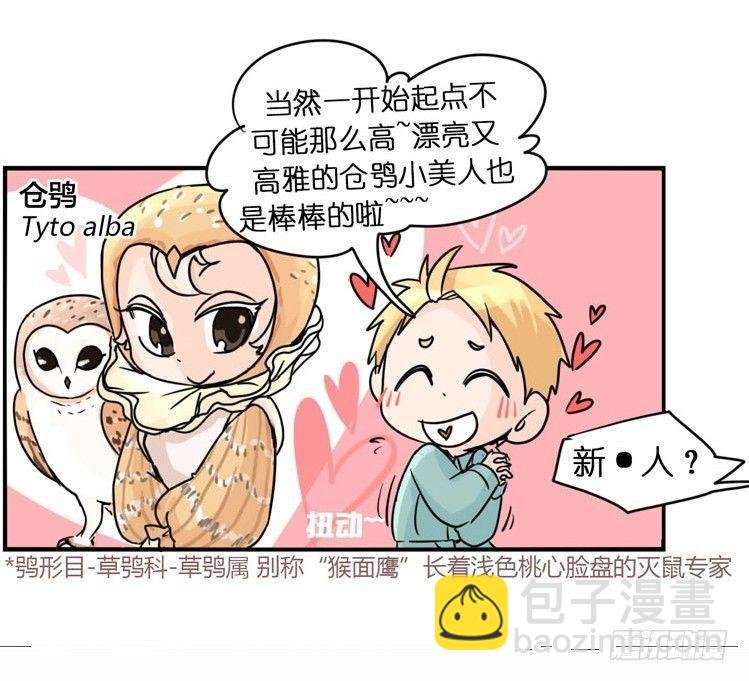 飞吧小少爷：梦想照进现实
