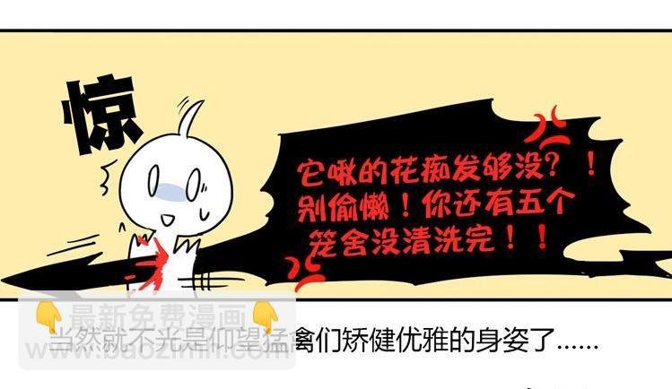 飞吧小少爷：梦想照进现实