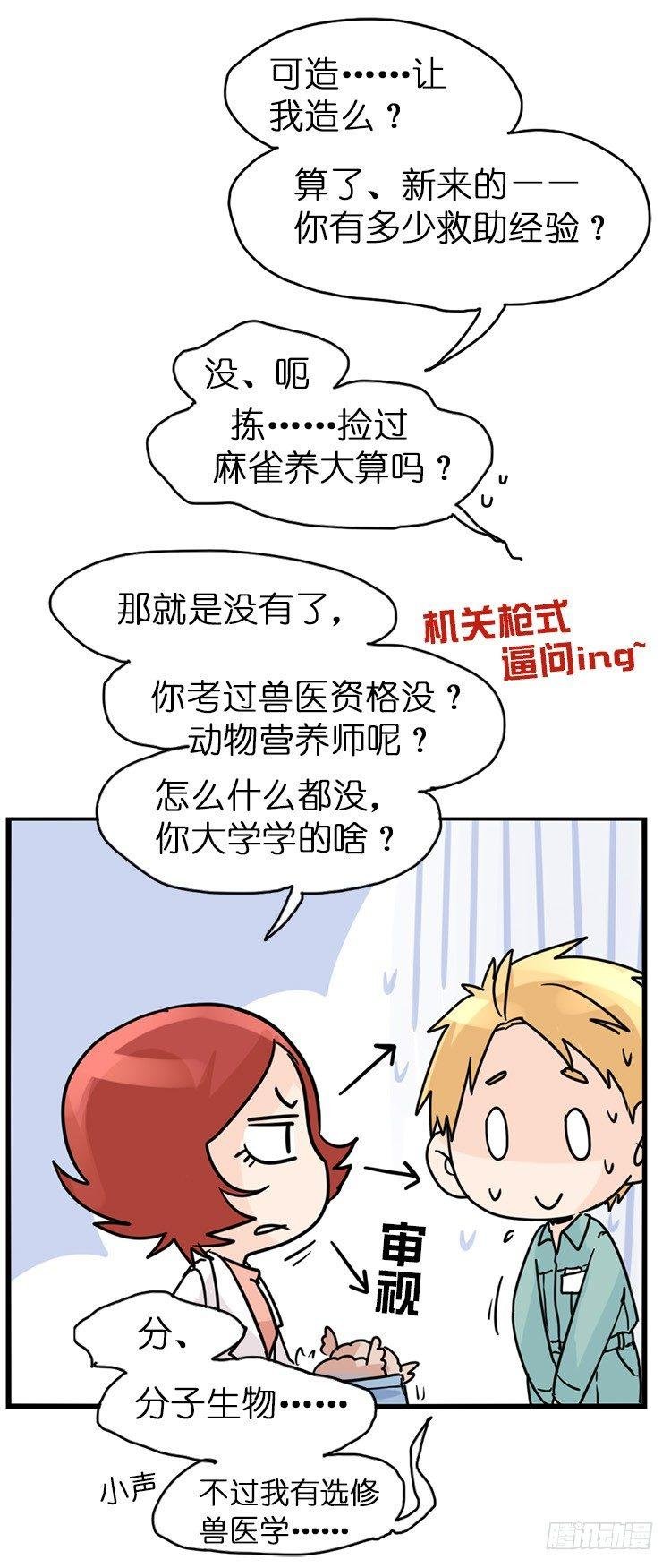 飞吧小少爷：梦想照进现实