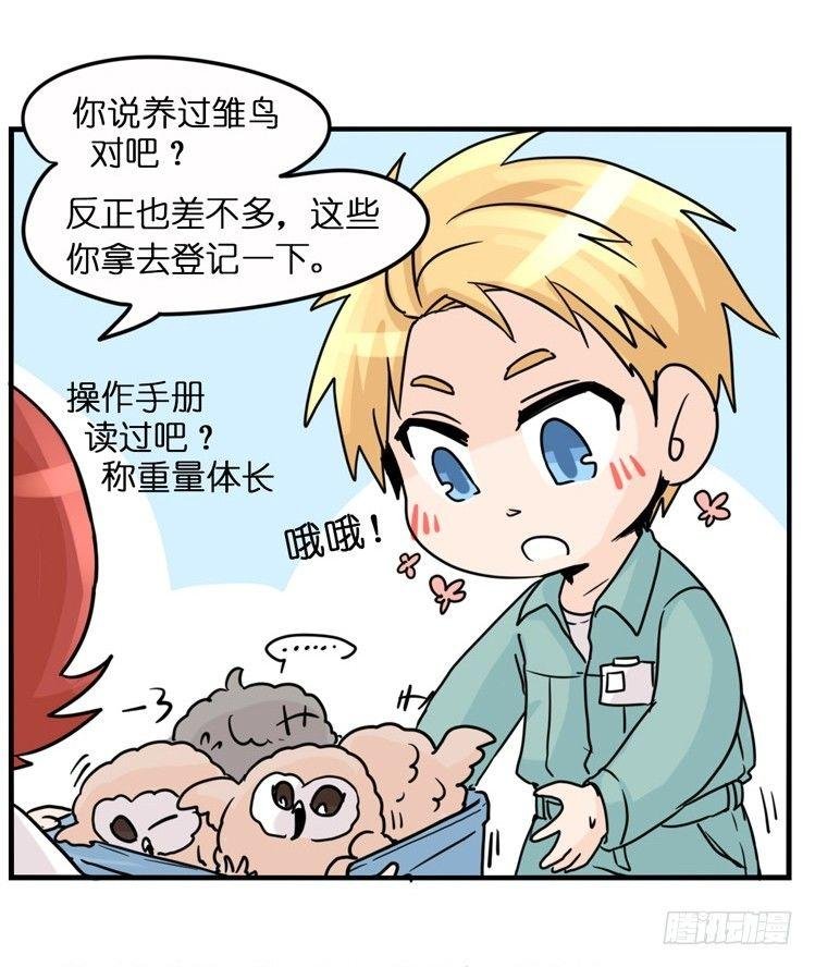 飞吧小少爷：梦想照进现实