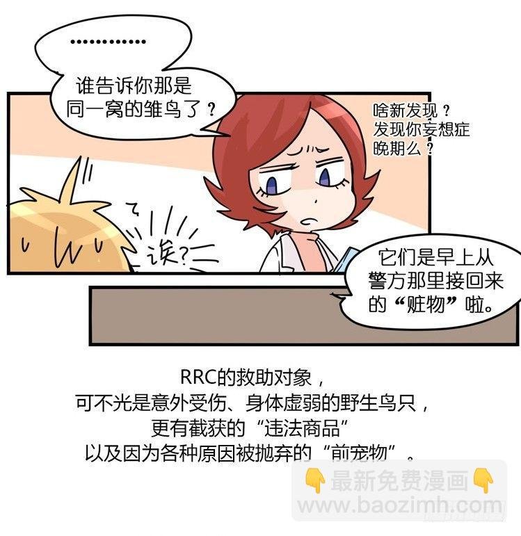 飞吧小少爷：梦想照进现实