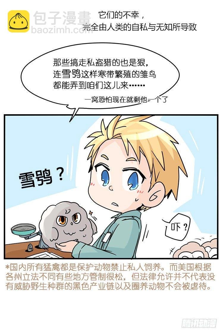 飞吧小少爷：梦想照进现实