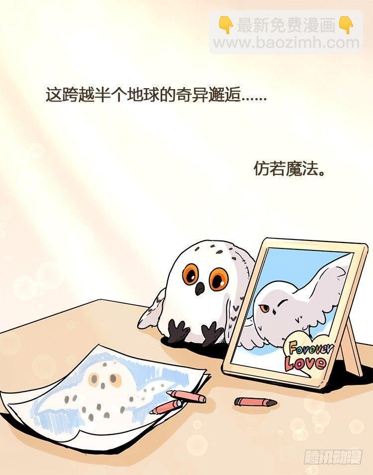 飞吧小少爷：梦想照进现实