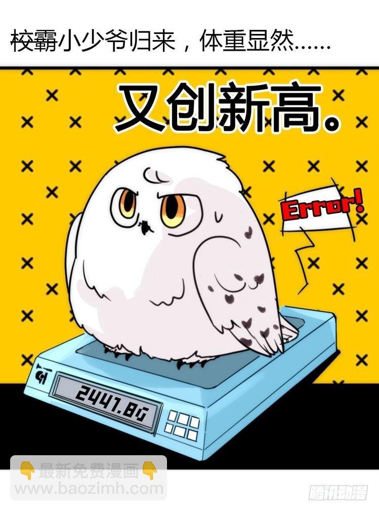 飞吧小少爷：减肥记