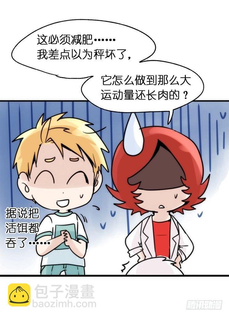 飞吧小少爷：减肥记